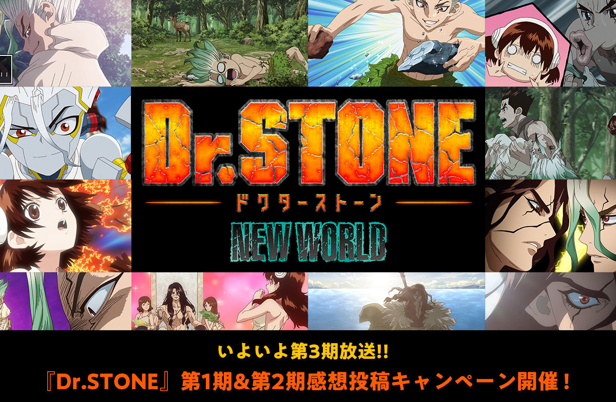 TVアニメ『Dr.STONE』第1期＆第2期感想投稿キャンペーン開催中！